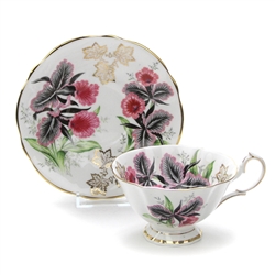 Cup & Saucer by Queen Anne, China, Orhcid