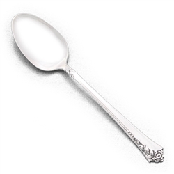 Damask Rose by Oneida, Sterling Teaspoon