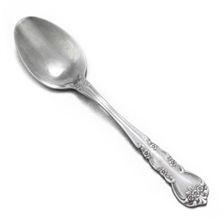 Delight by Stanley Roberts, Stainless Place Soup Spoon