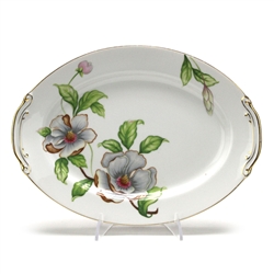 Dogwood by Roselyn, China Serving Platter