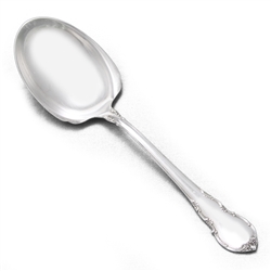 Modern Victorian by Lunt, Sterling Berry Spoon