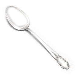 Bridal Veil by International, Sterling Demitasse Spoon