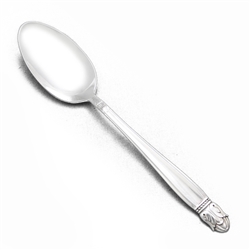 Danish Princess by Holmes & Edwards, Silverplate Teaspoon