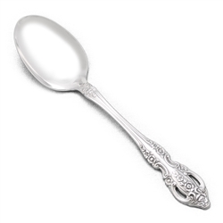 Renoir/Pembrooke by Oneida, Stainless Place Soup Spoon