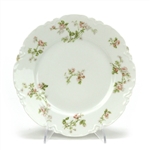 Frontenac by Limoges, China Dinner Plate