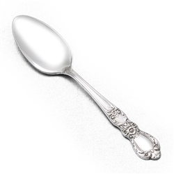 Heritage by 1847 Rogers, Silverplate Five O'Clock Coffee Spoon