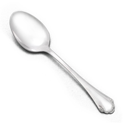 Falkirk by Oneida, Stainless Place Soup Spoon