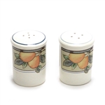 Garden Harvest by Mikasa, Stoneware Salt & Pepper