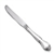 Queen's Fancy by International, Stainless Dinner Knife