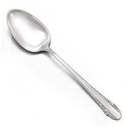 Enchantress by International, Sterling Tablespoon (Serving Spoon)