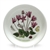 Botanic Garden by Portmeirion, Earthenware Coaster, Cyclamen