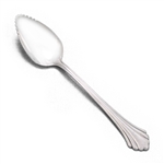 Rembrandt by Oneida, Stainless Grapefruit Spoon