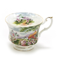 Country Scenes by Royal Albert, China Cup