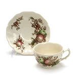 Harvest Time Brown Multicolor by Johnson Bros., China Cup & Saucer