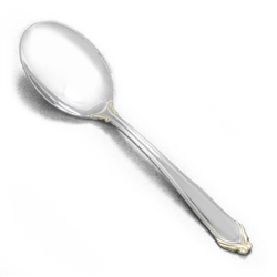 Delacroix Gold by Mikasa, Stainless Tablespoon (Serving Spoon)