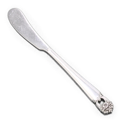 Eternally Yours by 1847 Rogers, Silverplate Butter Spreader, Flat Handle