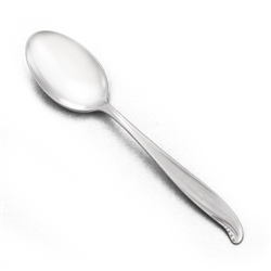 Spindrift by International, Stainless Place Soup Spoon