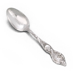 Souvenir Spoon by Wallace, Sterling, Indian, Denver
