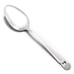 Eternally Yours by 1847 Rogers, Silverplate Tablespoon (Serving Spoon)