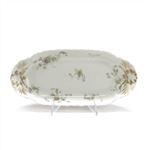 Relish Dish by Haviland & Co., Limoges, China