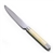 Dazee Sun by Pfaltzgraff, Stainless/Plastic Dinner Knife