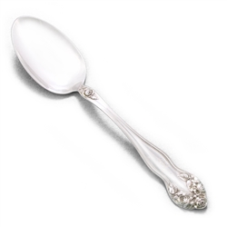 Tablespoon (Serving Spoon), Sterling, Roses, Monogram N