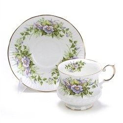 Wild Flowers by Rosina/Queens, China Cup & Saucer, Morning Glory