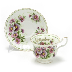 Flower of the Month by Royal Albert, China Cup & Saucer, September, Daisy