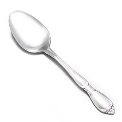 Chatelaine by Oneida, Stainless Dessert Place Spoon