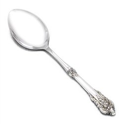 Grande Baroque by Wallace, Sterling Platter/Stuffing Spoon