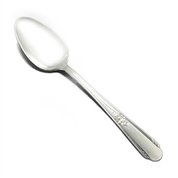 Memory/Hiawatha by Rogers & Bros., Silverplate Tablespoon (Serving Spoon)