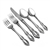 Raphael by Oneida, Stainless 5-PC Setting w/ Soup Spoon