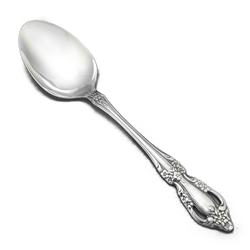 Raphael by Oneida, Stainless Tablespoon (Serving Spoon)
