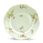 Dinner Plate by Haviland & Co., Limoges, China