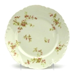 Salad Plate by Haviland & Co., Limoges, China