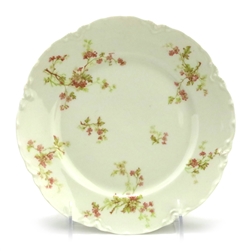 Salad Plate by Haviland & Co., Limoges, China