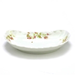 Bone Dish by Haviland & Co., Limoges, China