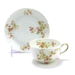Cup & Saucer by Haviland & Co., Limoges, China