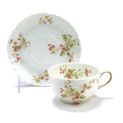 Cup & Saucer by Haviland & Co., Limoges, China