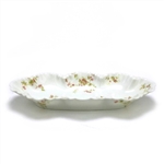 Celery Dish by Haviland & Co., Limoges, China