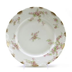 Dinner Plate by Haviland & Co., Limoges, China