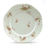 Dinner Plate by Haviland & Co., Limoges, China