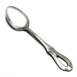 Toujours by Oneida, Stainless Tablespoon (Serving Spoon)