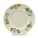 Meadow Scalloped by Minton, China Dinner Plate