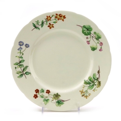 Meadow Scalloped by Minton, China Dinner Plate