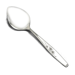 Fancy Free by Style House, Stainless Sugar Spoon