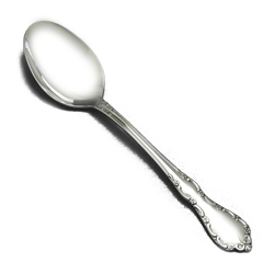 Mansion Hall by Oneida, Stainless Place Soup Spoon