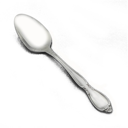 Chatelaine by Oneida, Stainless Youth Spoon