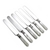 Pearl Handle by Radke & Co. Dinner Knives, Set of 6, Blunt Plated, Scroll Ferrule, Monogram W