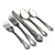 Briarwood by Oneida, Stainless 5-PC Setting w/ Soup Spoon